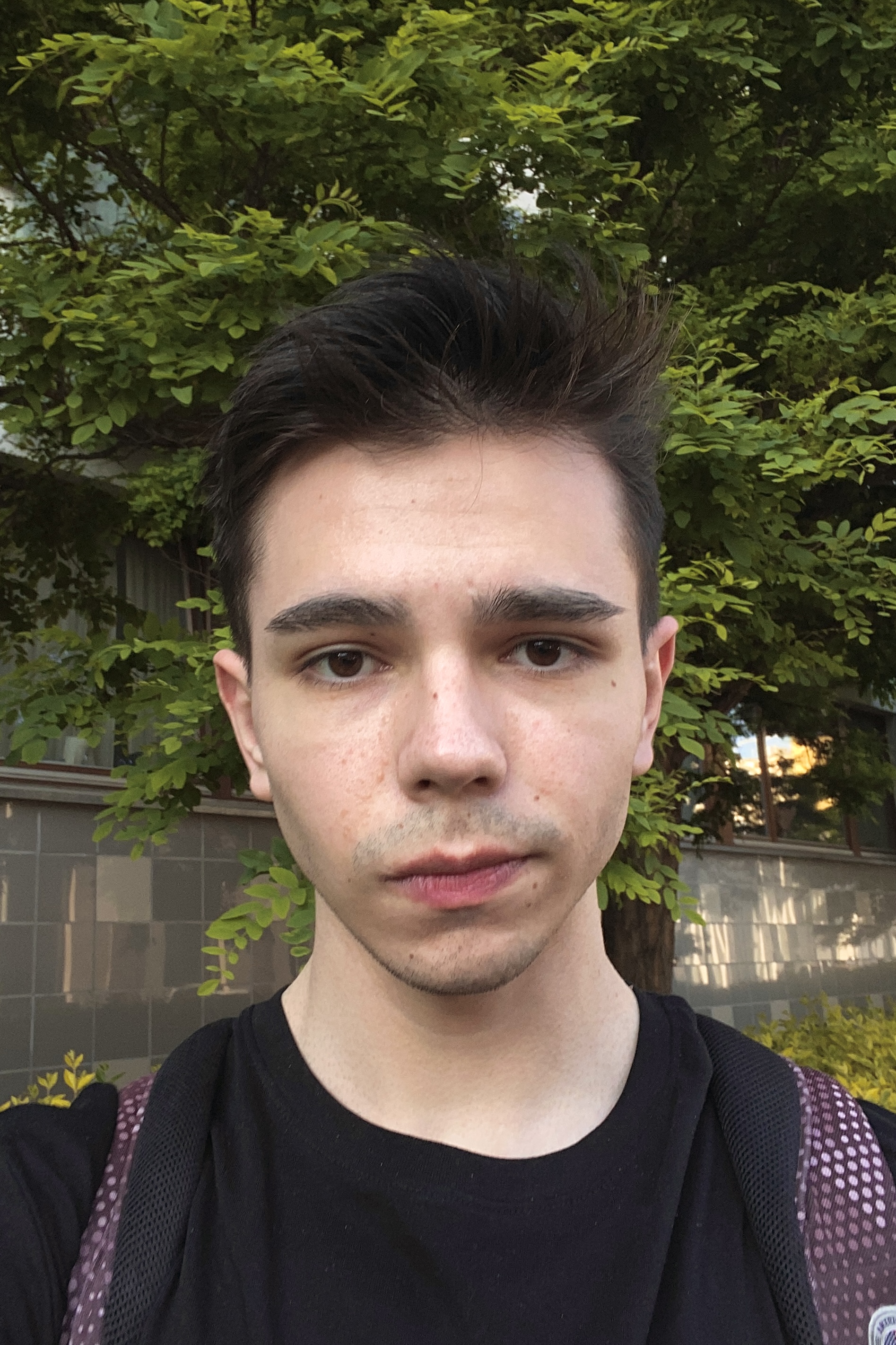 Thumbnail /_astro/103.kTcsZB8K.jpg