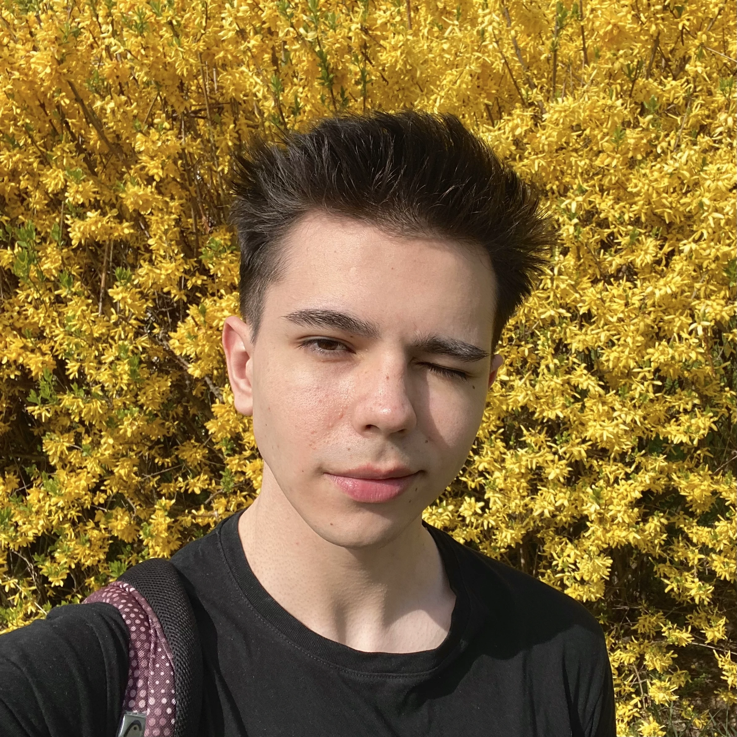 profile picture