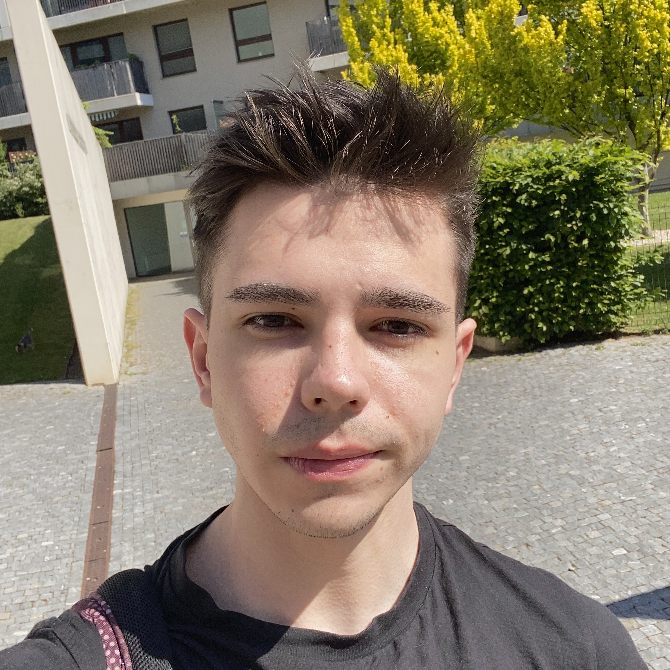 Thumbnail /_astro/96.D0K_IajC.jpg